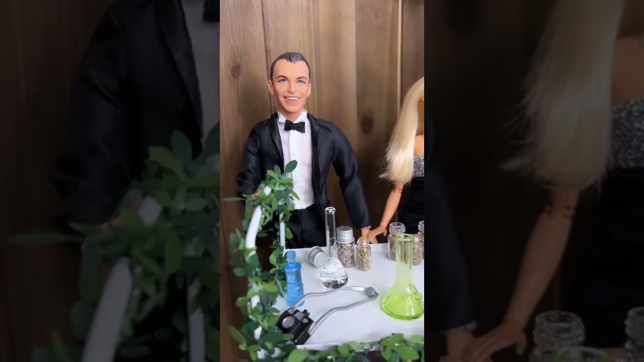 🍃 bar at a doll wedding 😶&zwj;🌫️ #shorts
