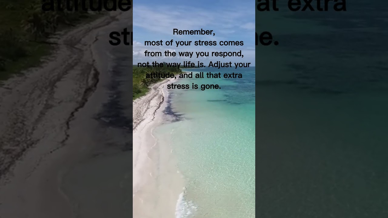 Mindful Response