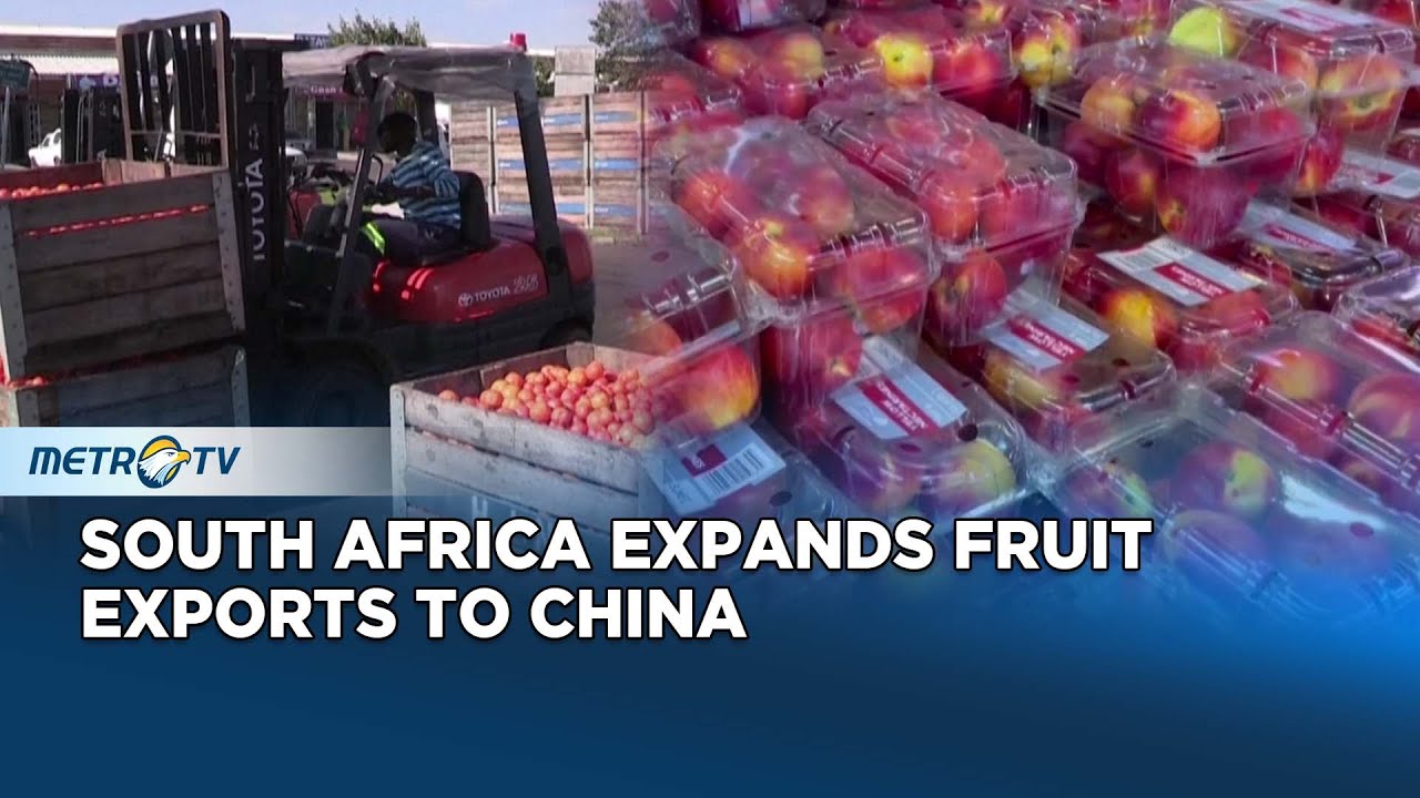 Demand Increases in China, South Africa Launches Fruit Export Agreement