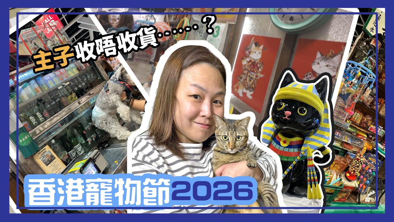 【Daily Vlog#08 】主子收唔收貨❓香港寵物節2026