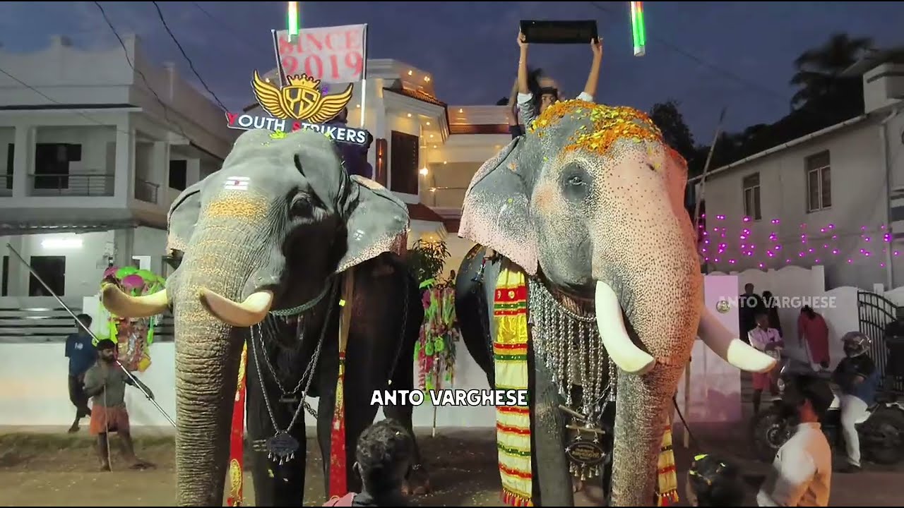 ചാലിശ്ശേരി പെരുന്നാളിന് ഗജസ്വീകരണം നൽകിയപ്പോൾ 🔥 Chalissery Perunnal 2025. 🔥Ganapathy & Shekaran 