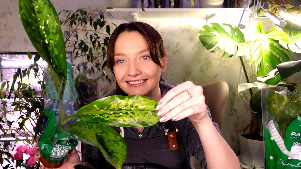 Новые растения! Распаковка и пересадка. будни цветовода, рутина с растениями. Посадка семян кактуса