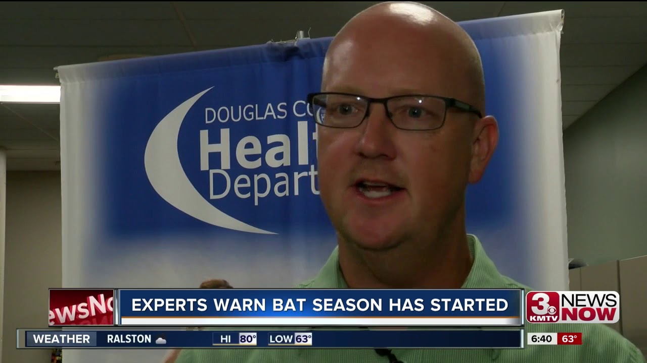 Bat Prevention