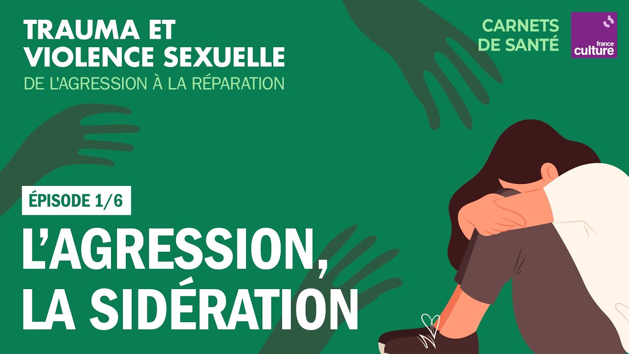 L’agression, la sidération (1/6) | Carnets de santé