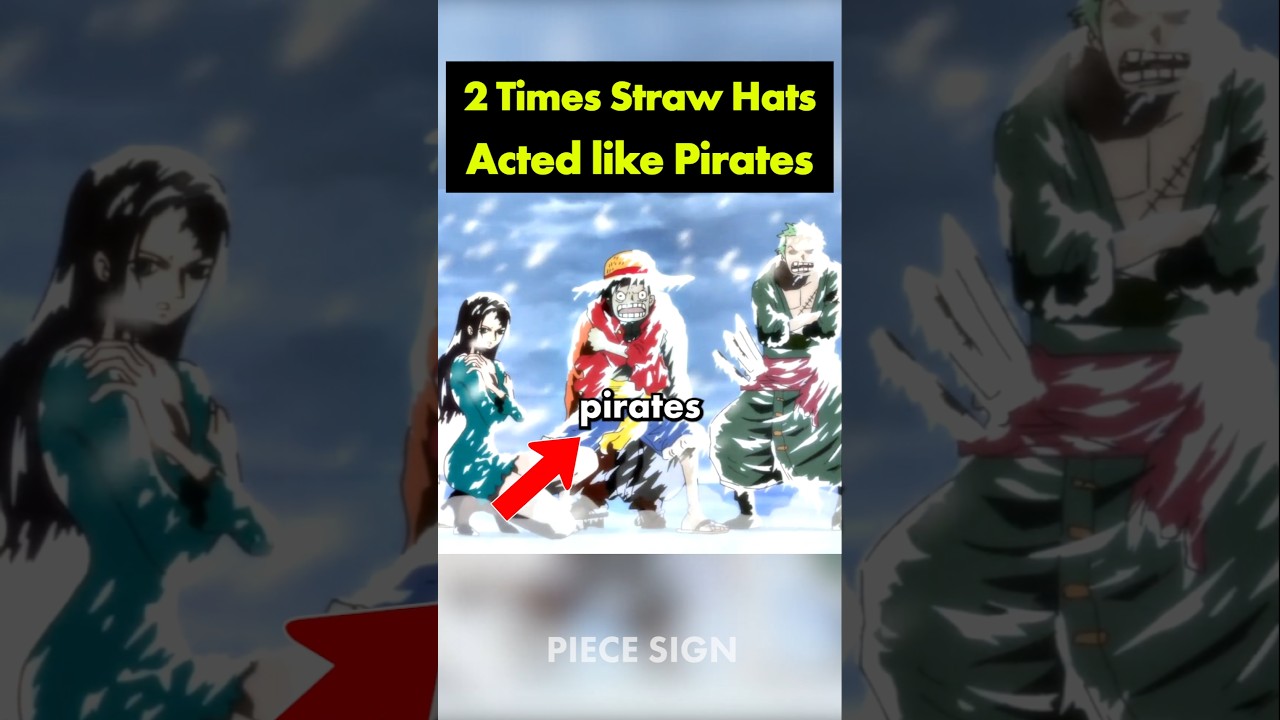 2 times Straw Hats acted like real pirates