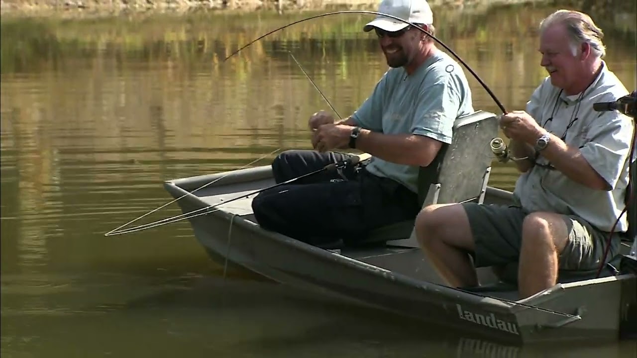 Catching Catfish on Persimmon: Sweet Bait for Big Catches