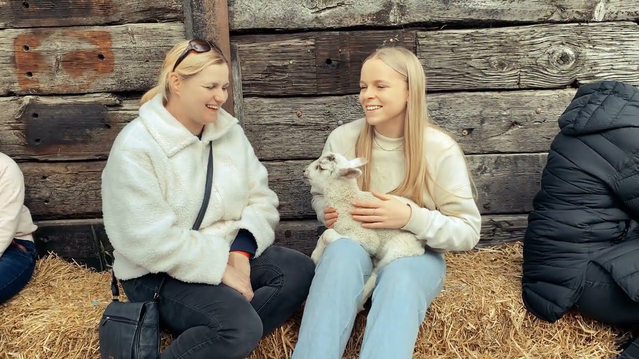 WCG MORETON MORRELL LAMBING EVENT 2022
