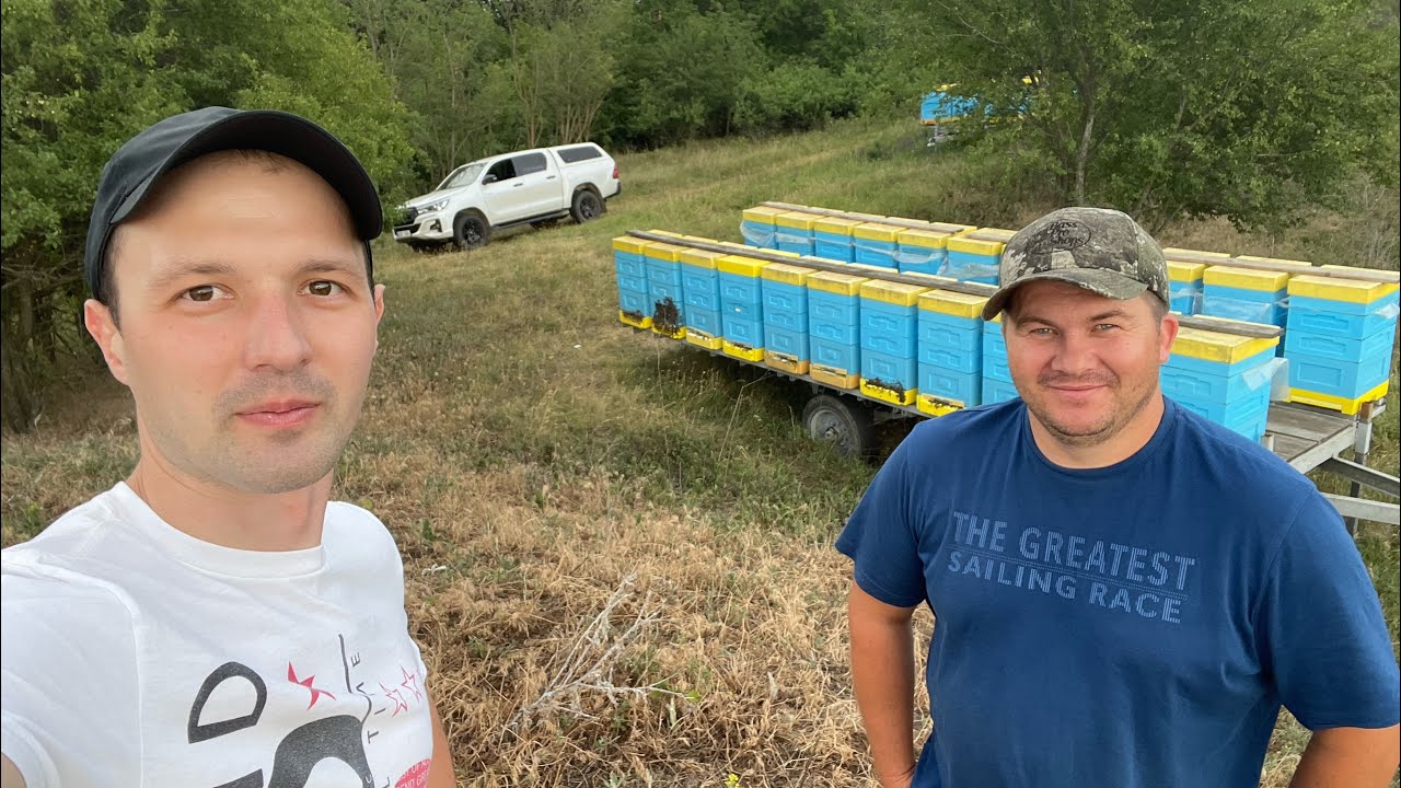 В гостях на пасеке у Андрея Бодяна