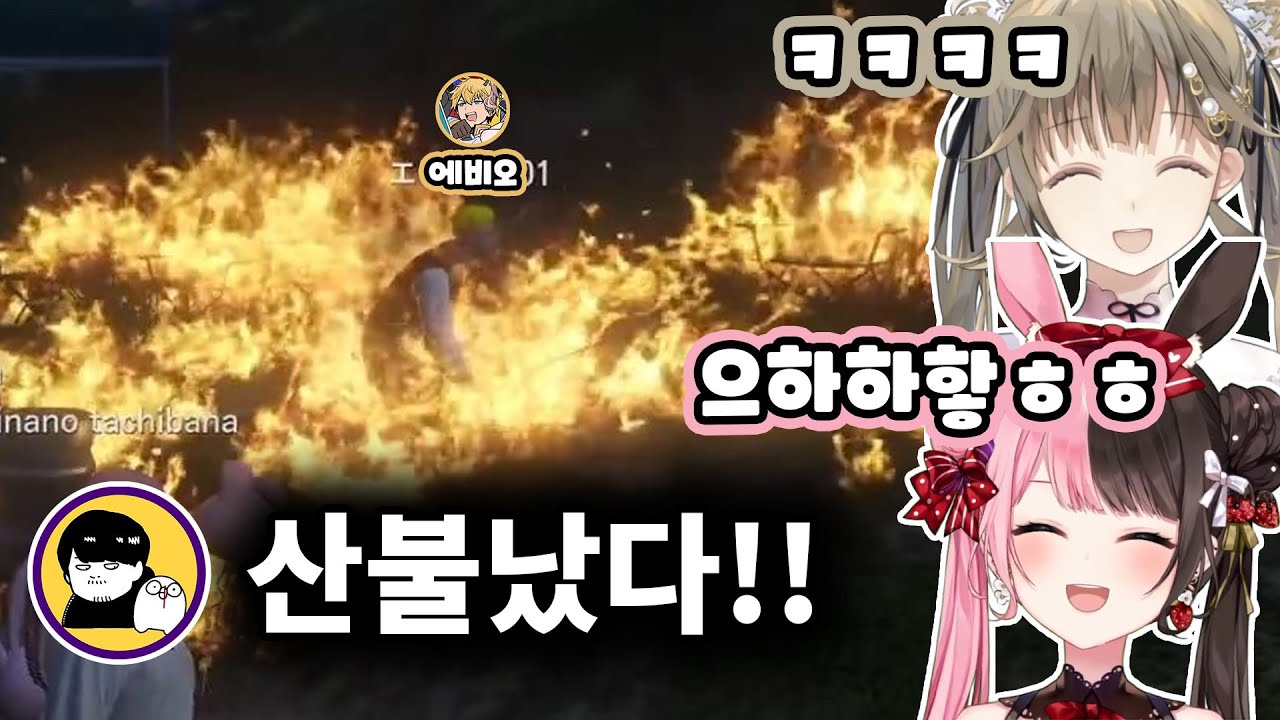 그저 모두와 함께 캠프 파이어가 하고 싶었던 히나노 [ 브이스포 ]