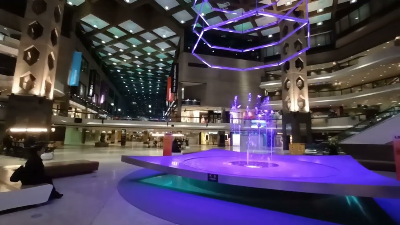 La Vie en Rose:   night life in downtown Montreal winter