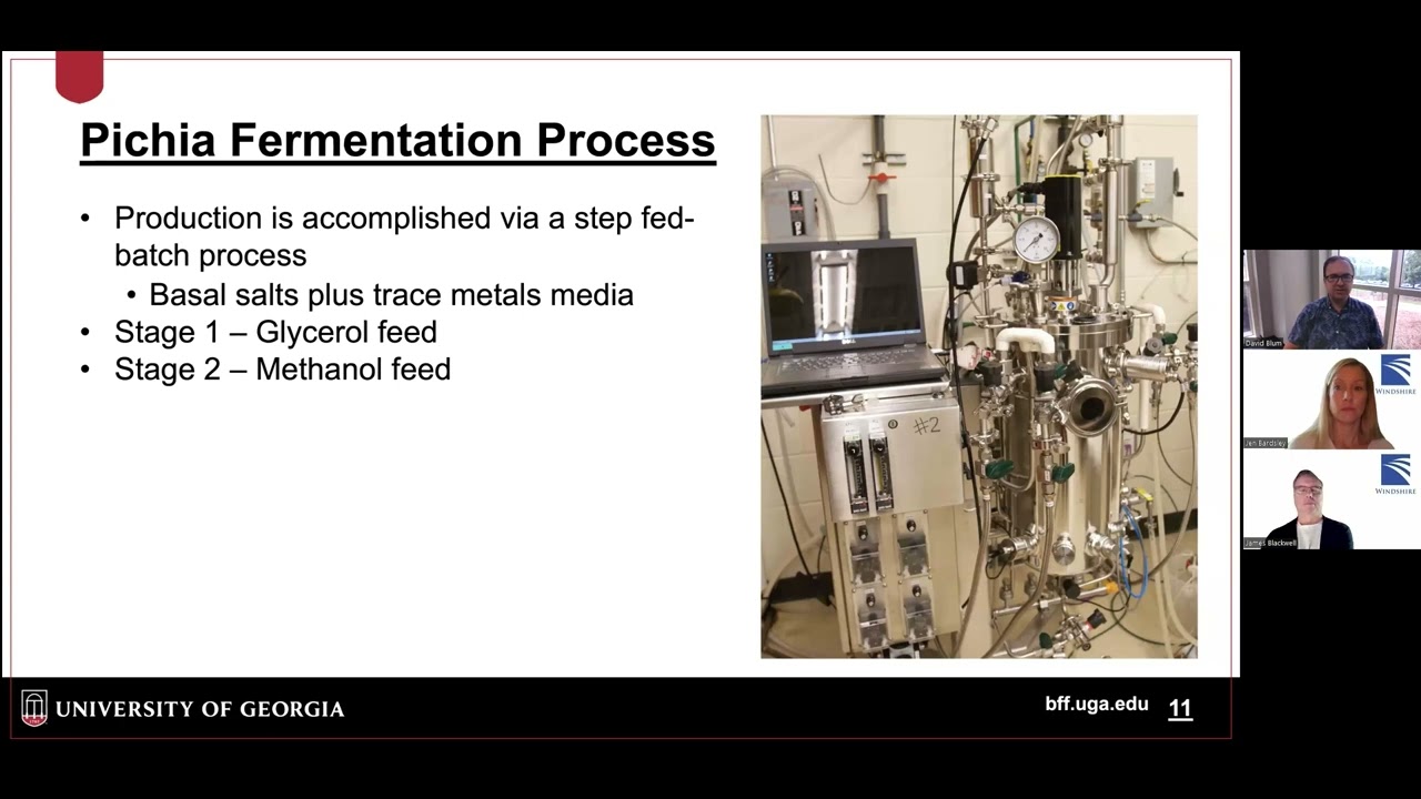 Pichia for Bio-pharmaceutical Manufacturing, Windshire Group - Ask the Experts Series - June 2022