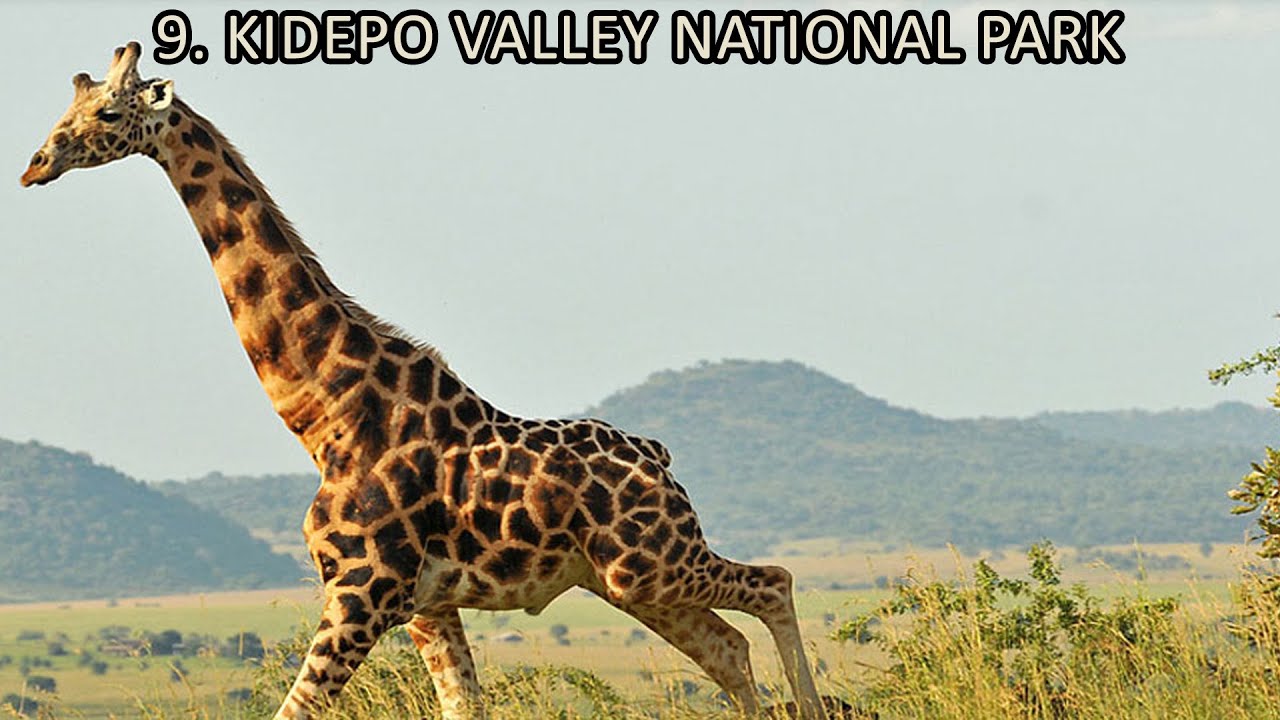 KIDEPO VALLEY NATIONAL PARK in the Top 10 Most Beautiful places in Uganda (Ep 2)