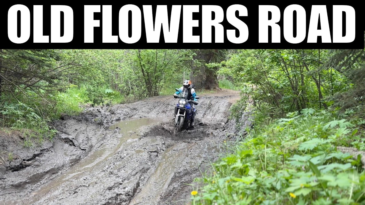 Tenere 700 vs. Old Flowers Road