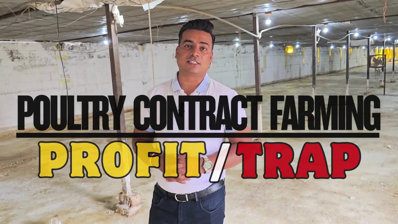 POULTRY CONTRACT FARMING- PROFIT OR TRAP 