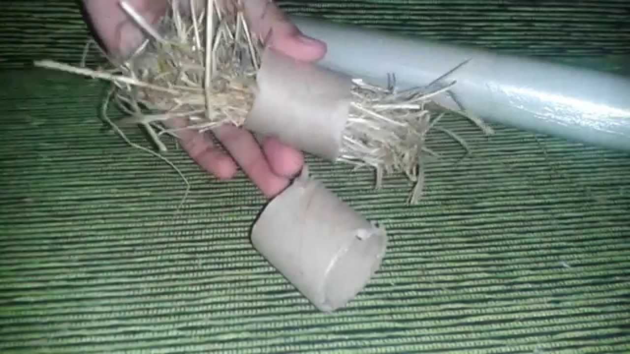 Meu Coelho Não Come Feno - o que fazer? (Rabbit Toys)