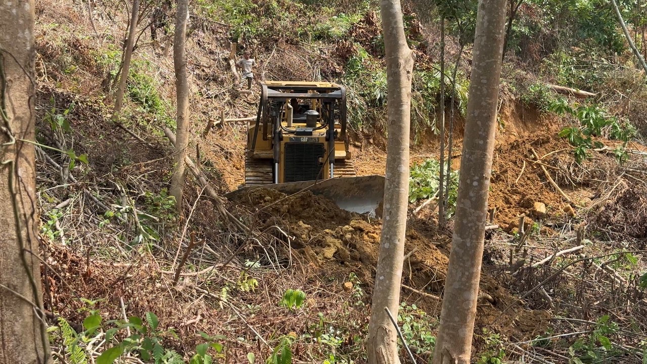 New Plantation Road Opened! Watch the D6R XL Bulldozer in Action