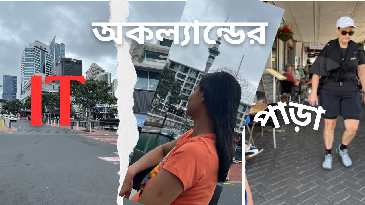ঘুরে দেখলাম অকল্যান্ডের আইটি সেক্টর আর ভাইডেক্ট হারবার।