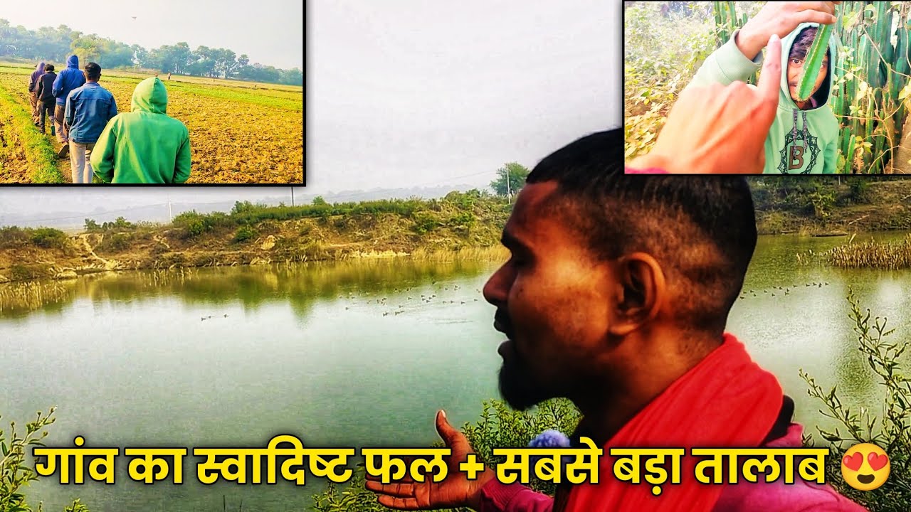 गांव का स्वादिष्ट फल (तारपुण) + बड़ा तालाब घूमने गए 😍