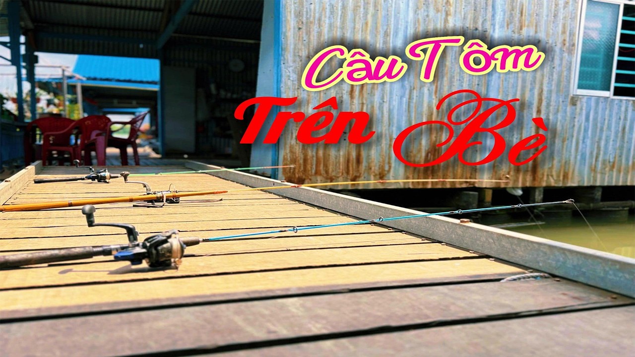 THÁI HÒA FISHING | HAI CHA CON ĐI BÈ CÂU TÔM HÔM NAY THẤT THU KHÔNG ĐƯỢC NHIỀU