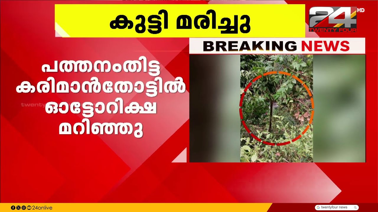 Auto carrying school children falls into a gorge in Pathanamthitta | Pathanamthitta