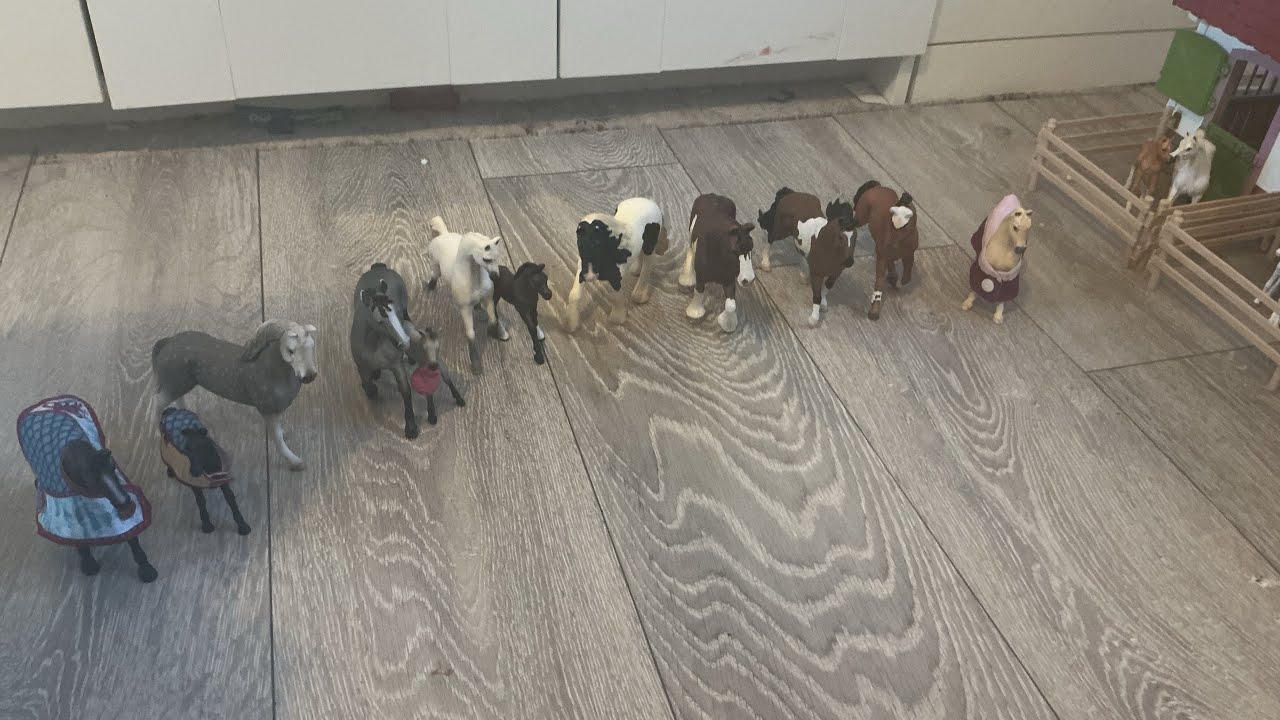 Horses that you may not see in my videos 
