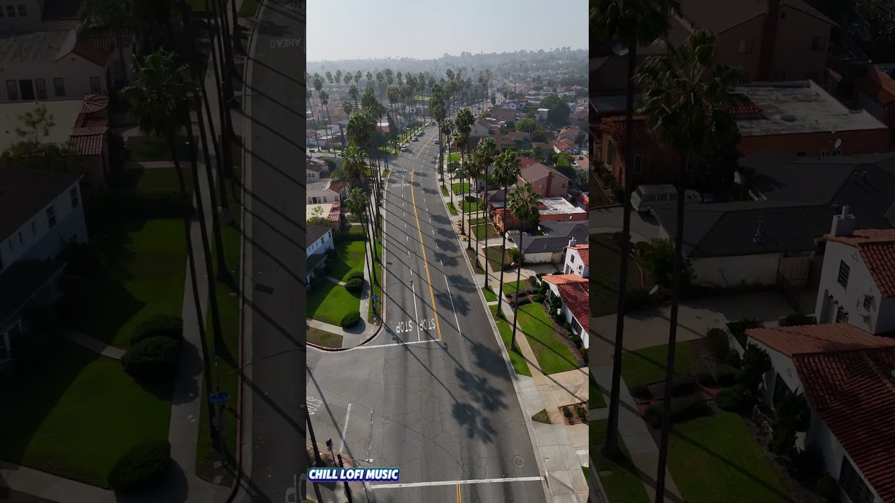 Smooth Lofi Instrumental - View Park–Windsor Hills, California Vibes