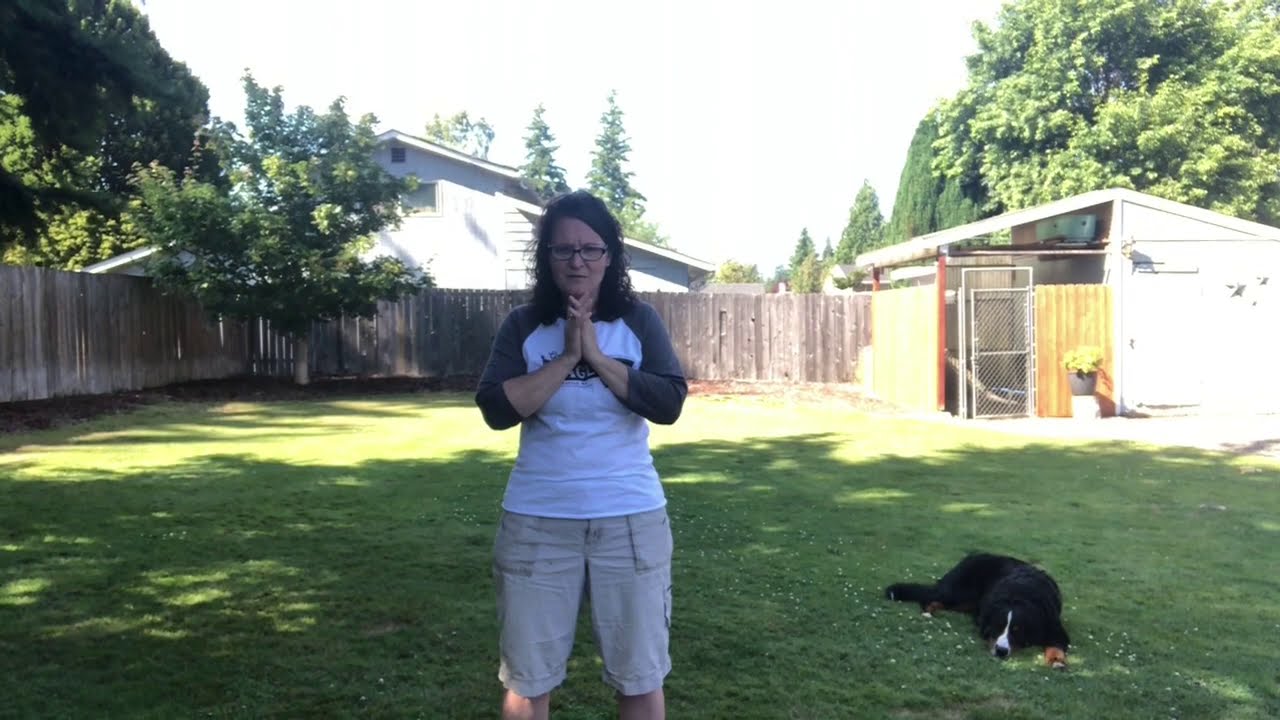 How to keep your Bernese Mountain Dog cool in the heat! Avoid heatstroke!