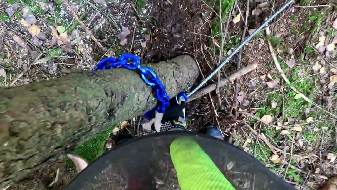 Durchforstung mit Husqvarna 560 Xpg Mark 2 und Holzknecht Hs 850 und Neuson 8002 HV