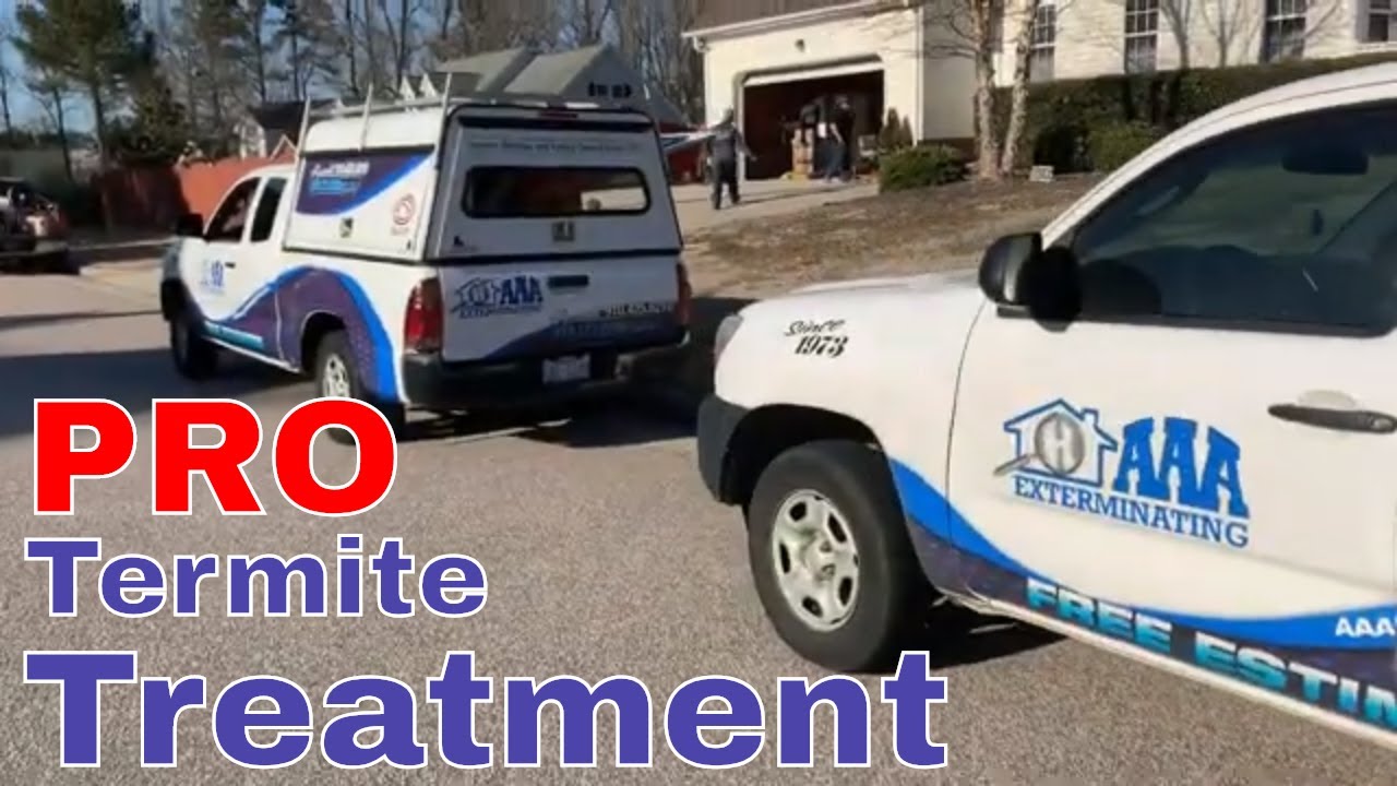 Full Professional Termite Treatment
