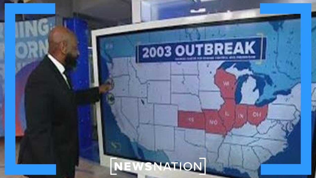 How officials contained the 2003 monkeypox outbreak | Morning in America