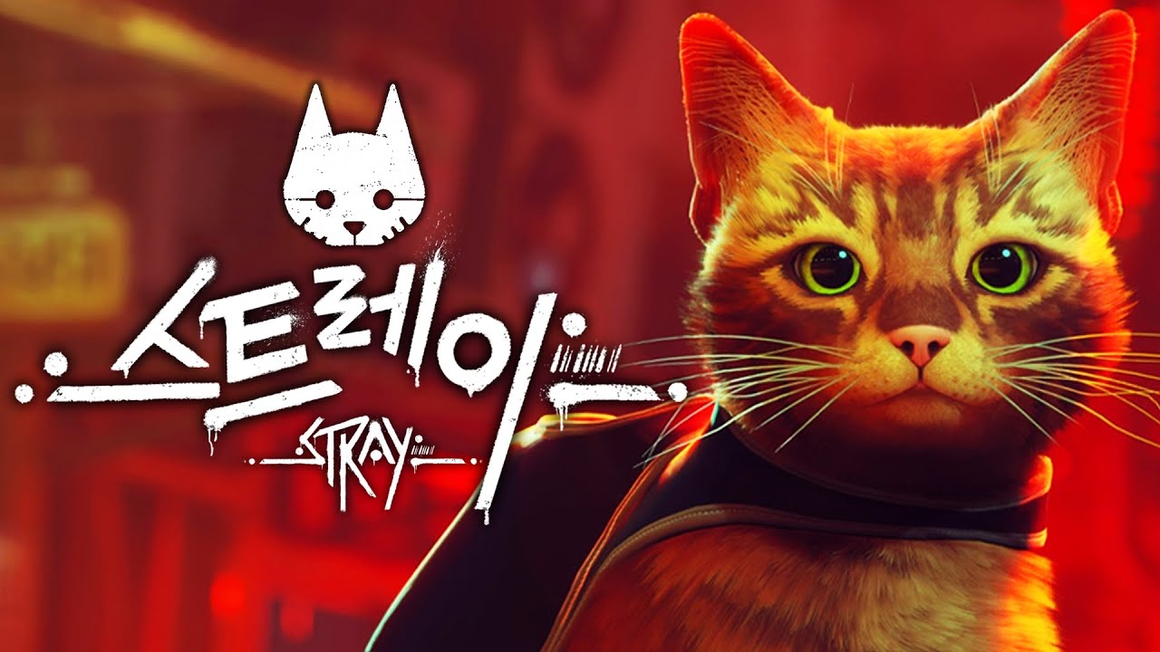전 세계의 고양이 집사들에게 극찬을 받는 게임 (스트레이/Stray)