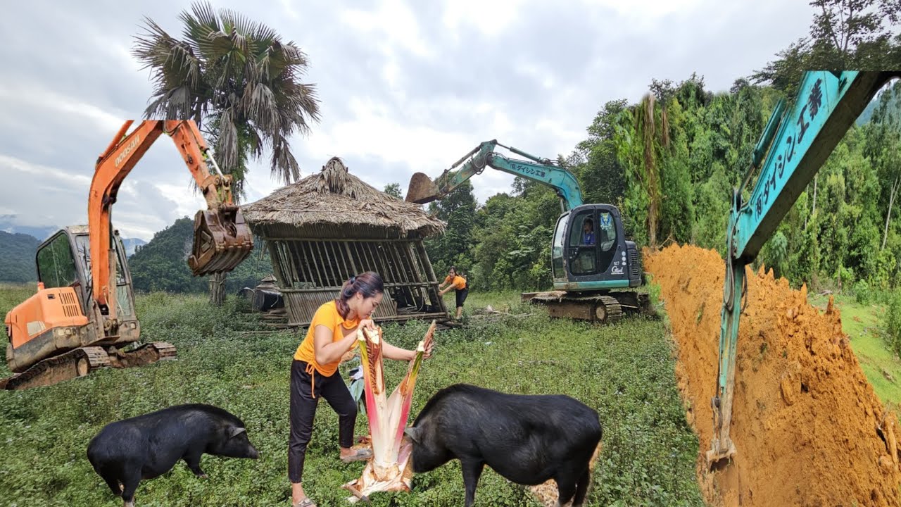 The world's fastest mini excavator: excavator prevents livestock from destroying crops