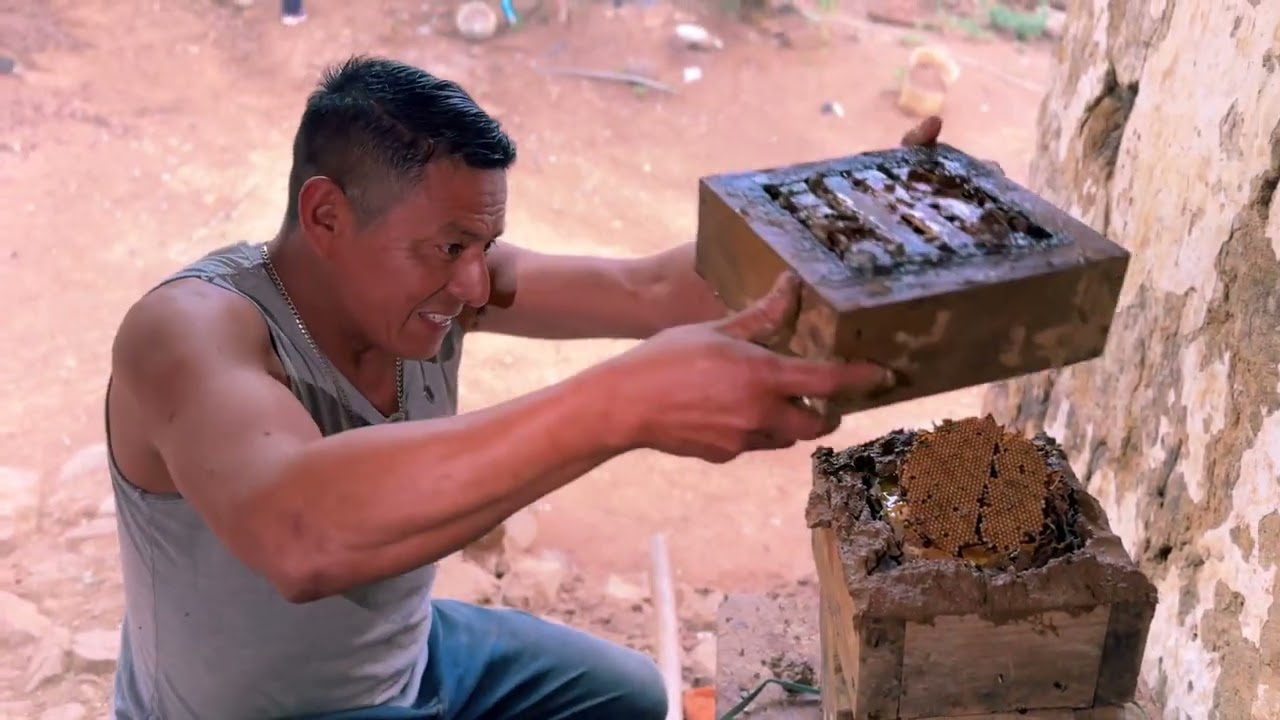 Un año tiene que pasar para Cosechando Miel de Catiana | LA ABEJITA QUE NO PICA PERO SI MOLESTA 🐝