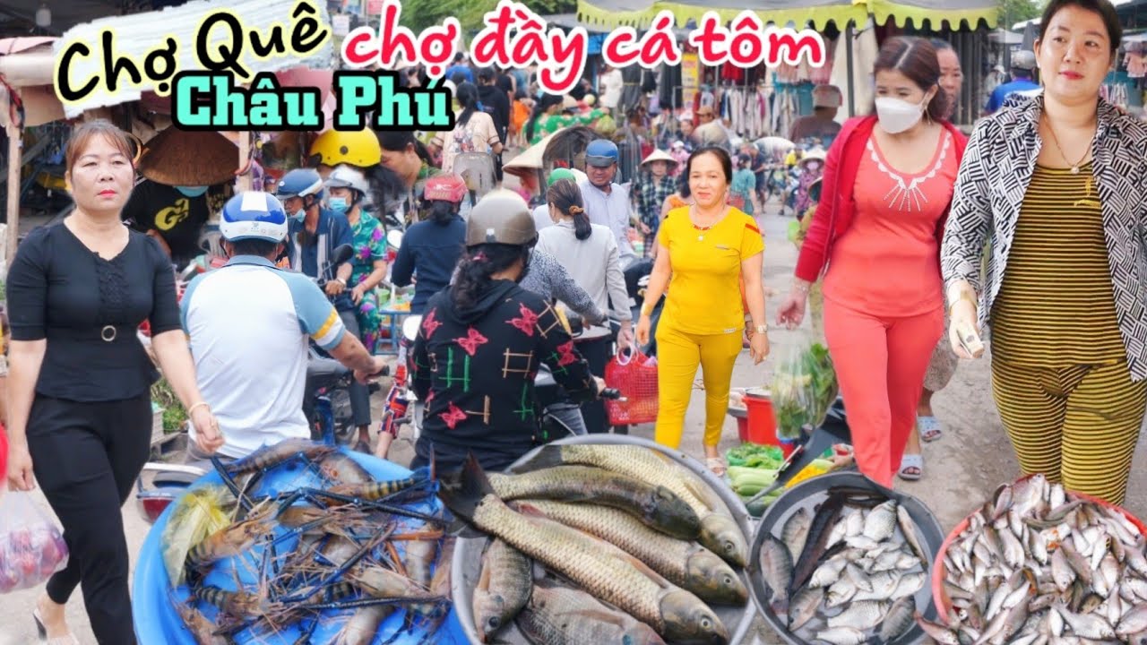 Chợ quê đầy cá, tôm, rắn, rau củ quả giá rẻ bèo Chợ Kênh 7 Châu Phú An Giang