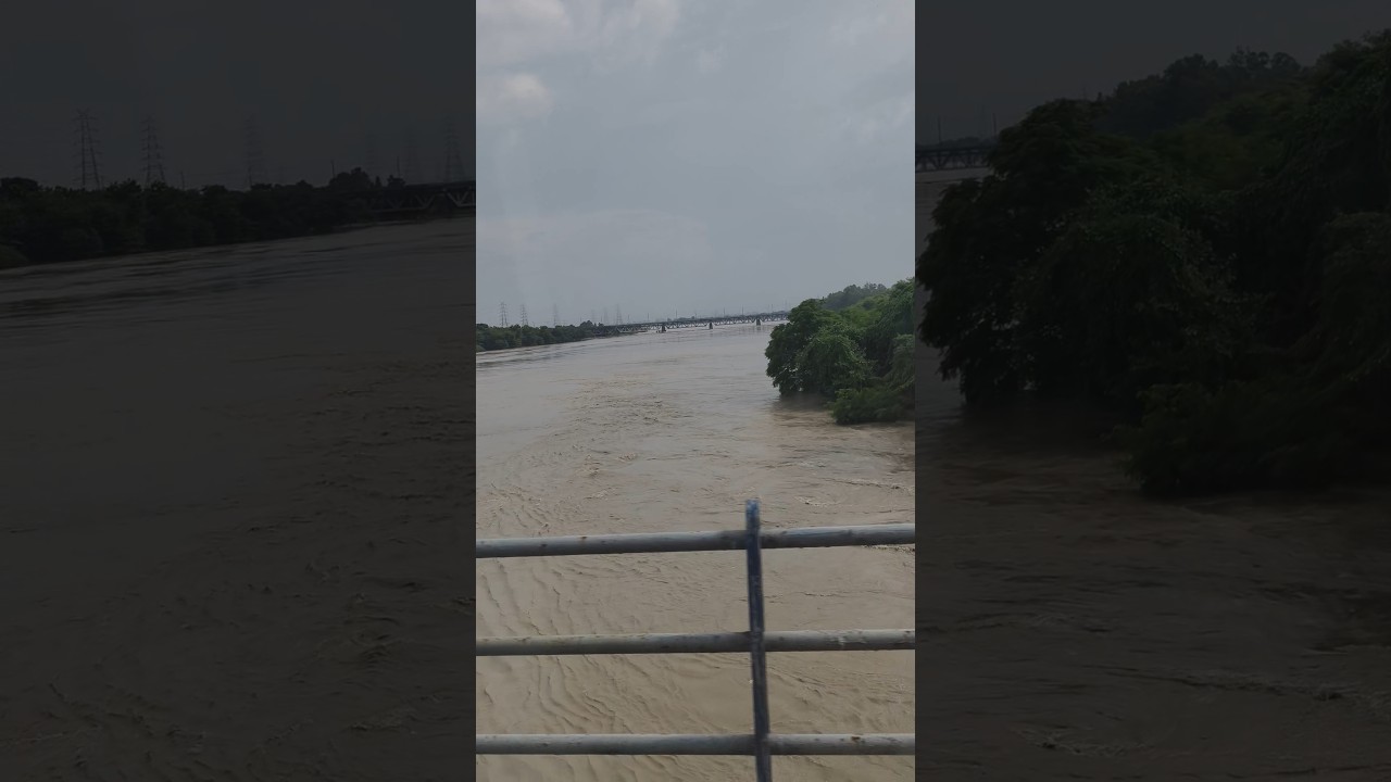 Yamuna River Flood 2025 🌊 #yt #shorts #ytshorts #viralreels #ytviral #ytshort #india #yamuna #delhi