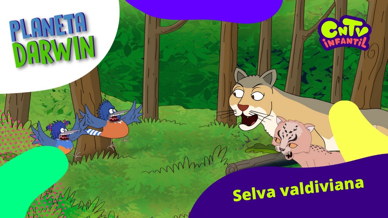 Selva Valdiviana - Explicado para niños: Planeta Darwin