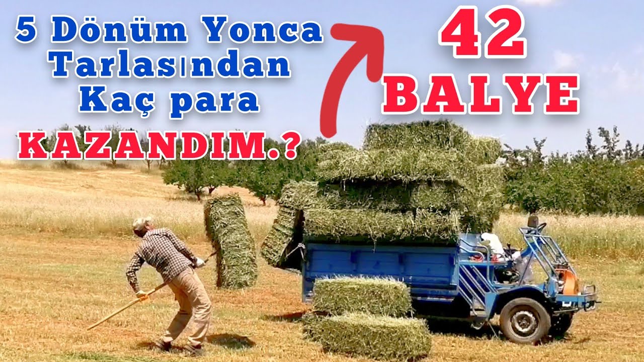 PAT PATIN SINIRLARI ZORLADIM 42 BALYE YÜKLEDİM (Kaç Para Kazandım)
