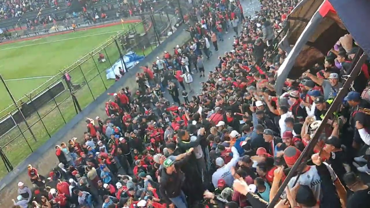 DE PENDEJO YO TE SIGO ADONDE VAS + ESTA ES LA BANDA LA DE COLÓN ⭐ //  COLÓN 1 VS Aldosivi 1
