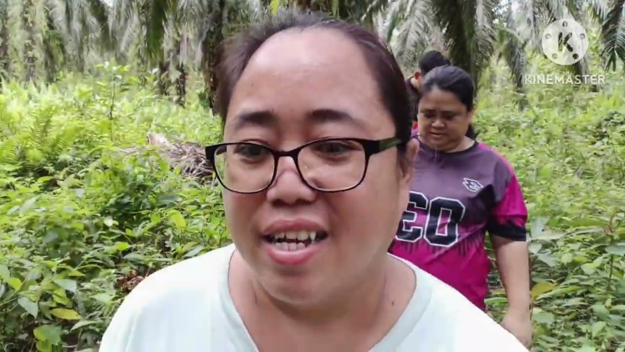 Aktiviti kamiurang di kampung || Memancing, cari rebung & petik pucuk daun ubi. 
