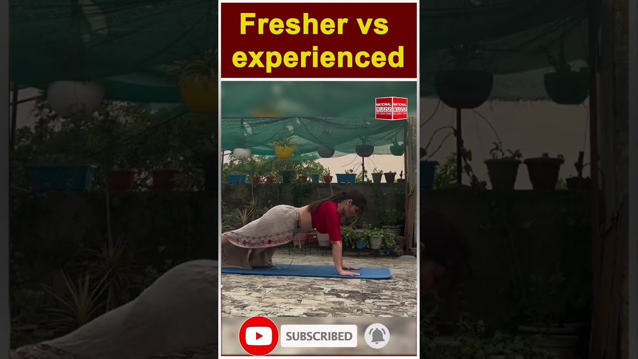 Fresher vs experienced