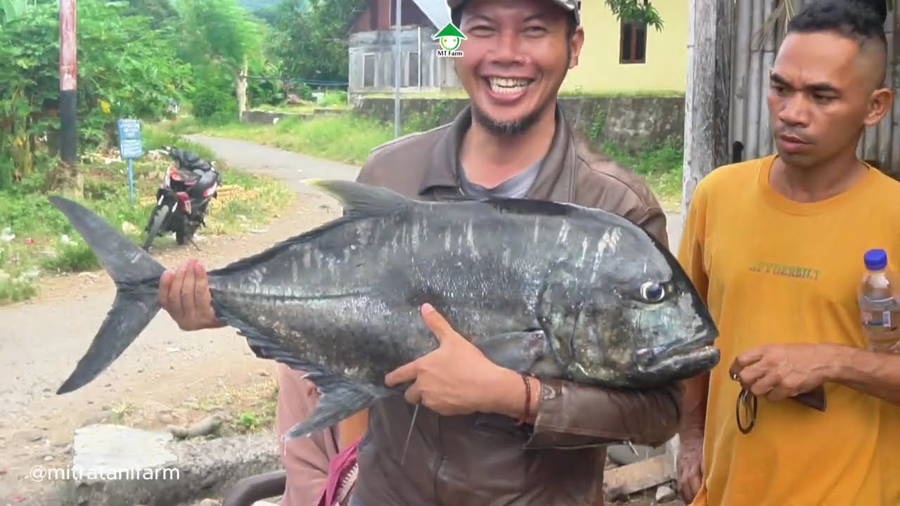 Qurban di Nusa Tenggara Timur? Ini Awal Ceritanya… (Bag 1)