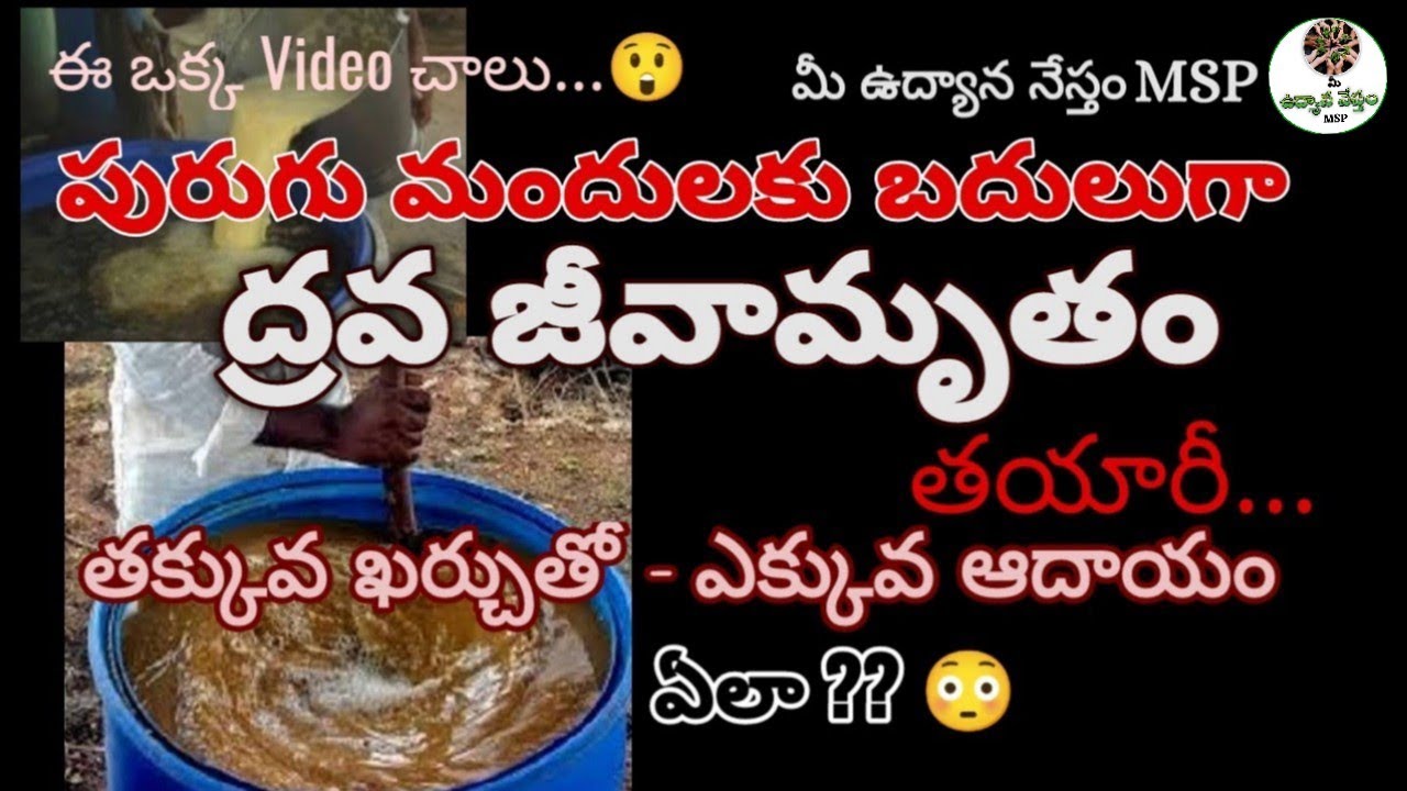 ద్రవ జీవామృతం తయారీ విధానం #jeevamrutham #udyananesthammsp #youtube #agriculture #farmer #viral
