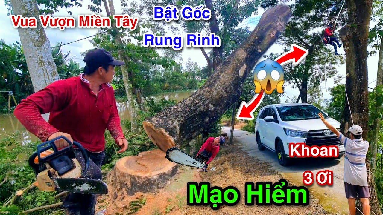 Mạo Hiểm Cực Kỳ Vua Vượn Cưa 2 / 3 Cây Còng Cạnh Điện Mé Sông Phần Cuối
