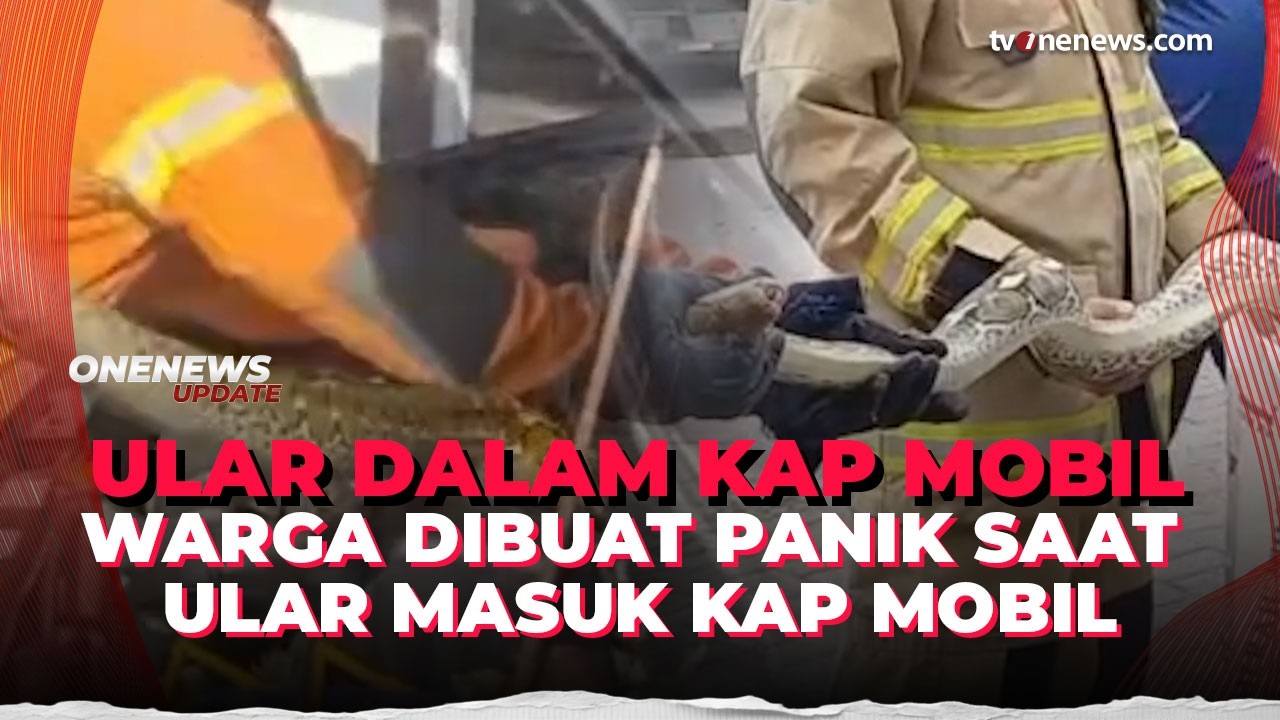 Niat Servis Mobil untuk Mudik, Warga Surabaya Malah Temukan Ular Sanca 3 Meter | OneNews Update