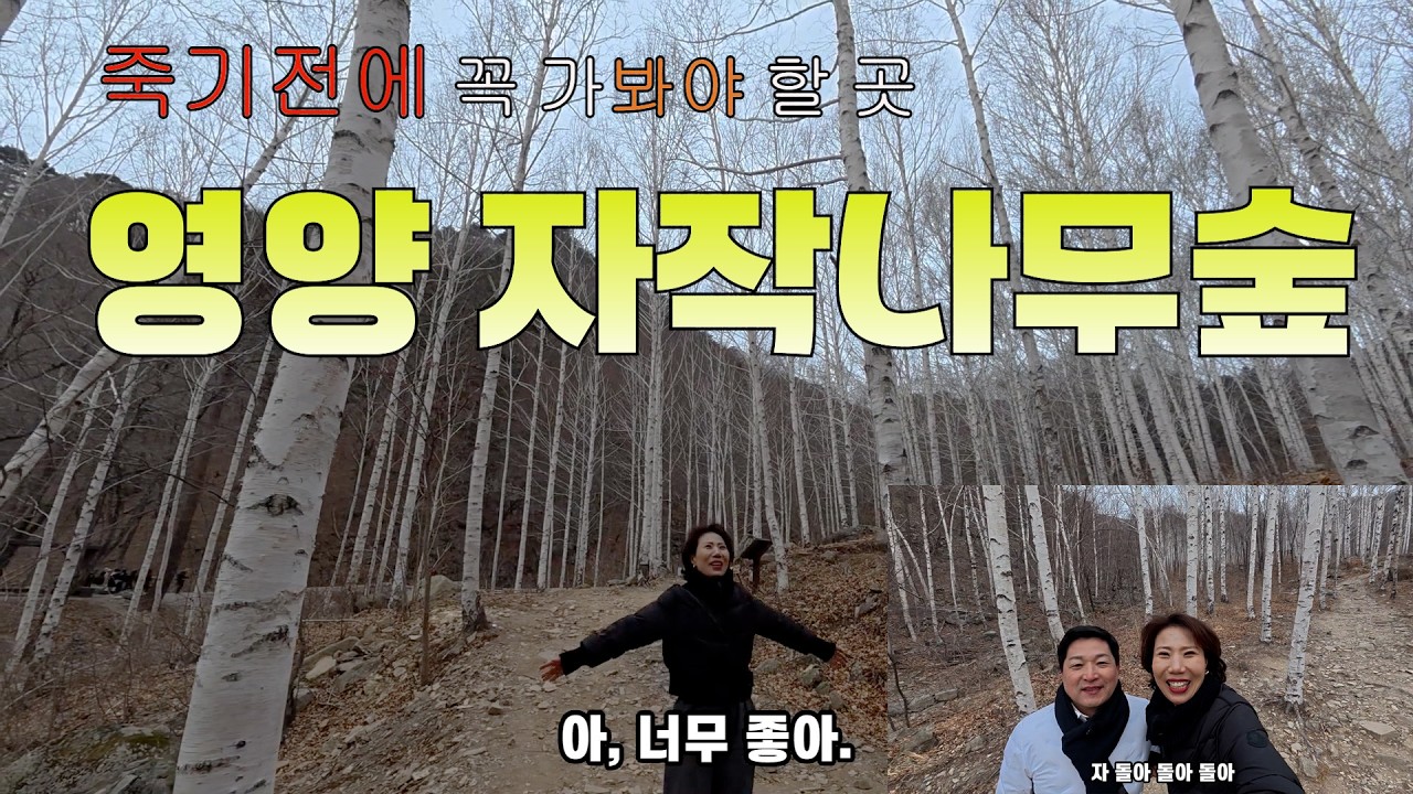 영양 밤하늘 보호구역 차박 &눈 내리는 자작나무 숲, 영화 속 주인공이 된 기분..