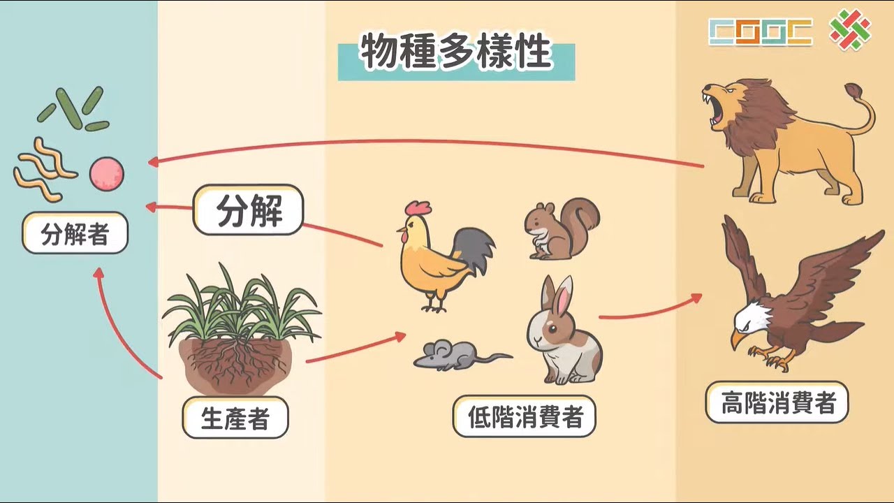 108新課綱｜七下生物｜【觀念】生物多樣性