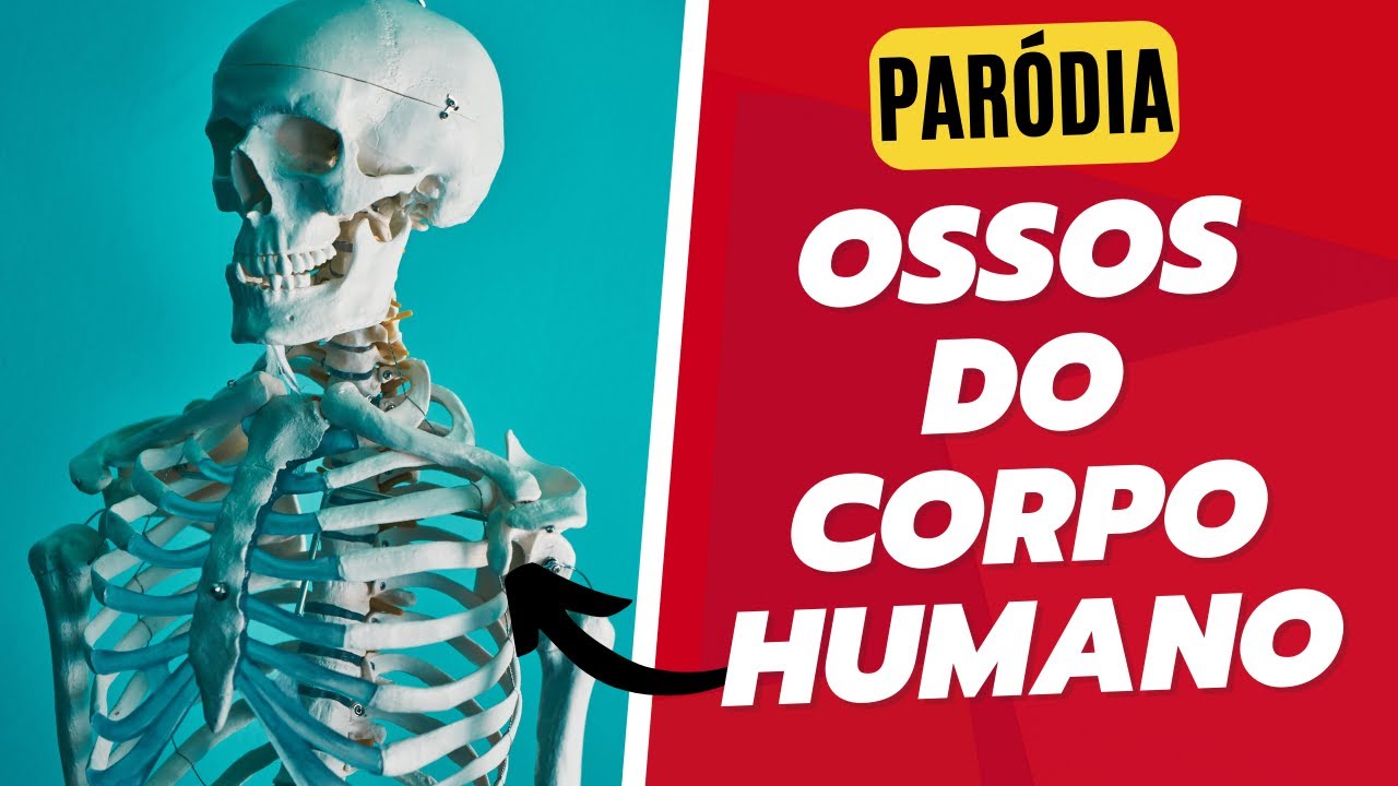 PARÓDIA: OSSOS DO CORPO HUMANO - PUFFITEI | PARÓDIAS EDUCATIVAS