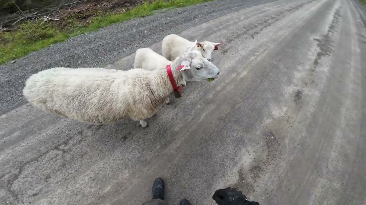 Dirt Road Adventures P1 [ENG]