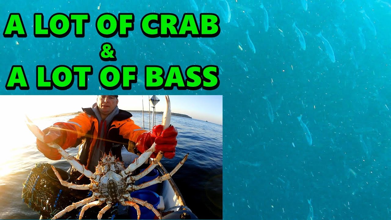 A Lot Of Crab & A Lot Of Bass