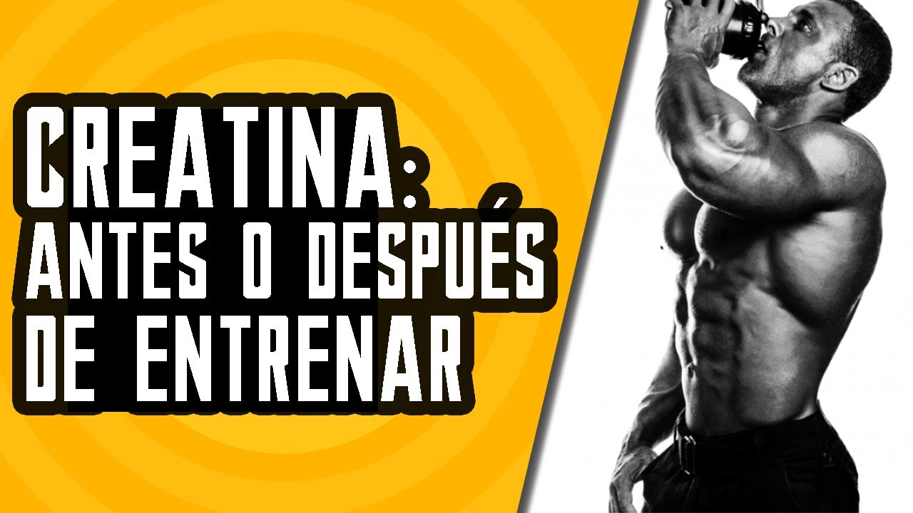 Cuándo Tomar Creatina ¿Antes o Después De Entrenar?